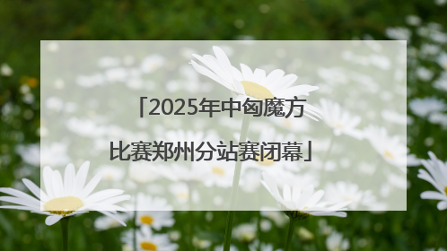 2025年中匈魔方比赛郑州分站赛闭幕