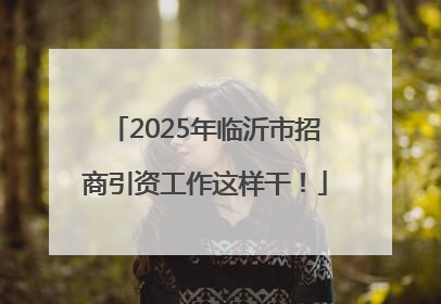 2025年临沂市招商引资工作这样干！