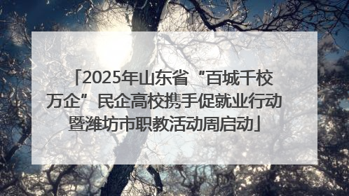 2025年山东省“百城千校万企”民企高校携手促就业行动暨潍坊市职教活动周启动