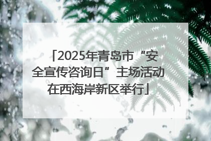 2025年青岛市“安全宣传咨询日”主场活动在西海岸新区举行