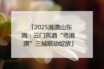 2025港澳山东周：云门酱酒“粤港澳”三城联动绽放