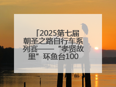 2025第七届朝圣之路自行车系列赛——“孝贤故里”环鱼台100公里挑战赛启幕