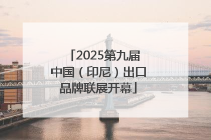 2025第九届中国（印尼）出口品牌联展开幕