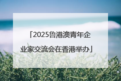 2025鲁港澳青年企业家交流会在香港举办
