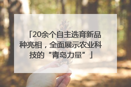 20余个自主选育新品种亮相，全面展示农业科技的“青岛力量”