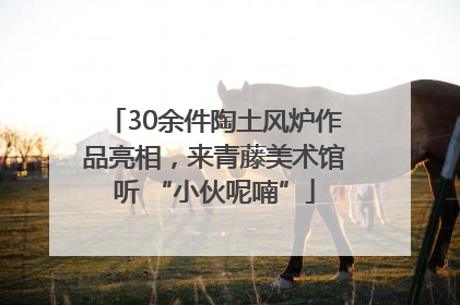 30余件陶土风炉作品亮相，来青藤美术馆听 “小伙呢喃”
