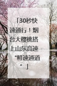 30秒快速通行！烟台大樱桃搭上山东高速“鲜速通道”