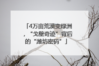 4万亩荒漠变绿洲，“戈壁奇迹”背后的“潍坊密码”