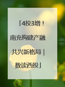4投3增！南充构建产融共兴新格局｜数读西投