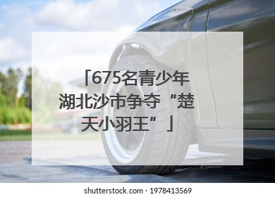 675名青少年湖北沙市争夺“楚天小羽王”