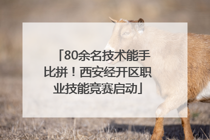 80余名技术能手比拼！西安经开区职业技能竞赛启动