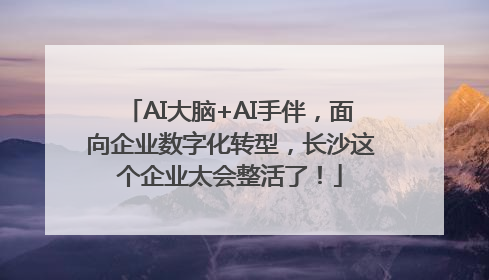 AI大脑+AI手伴，面向企业数字化转型，长沙这个企业太会整活了！