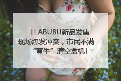 LABUBU新品发售现场爆发冲突，市民不满“黄牛”清空盒机